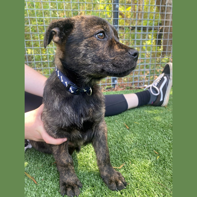 Photo of D1061 Prince