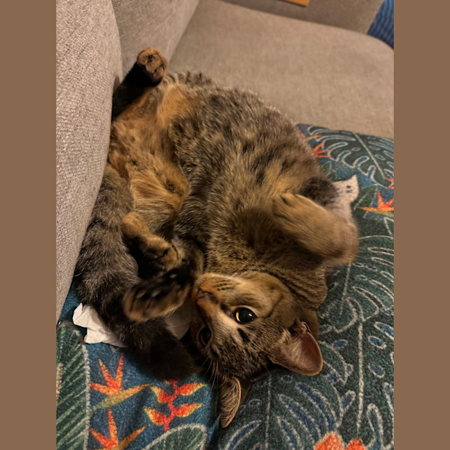 Photo of Fergus