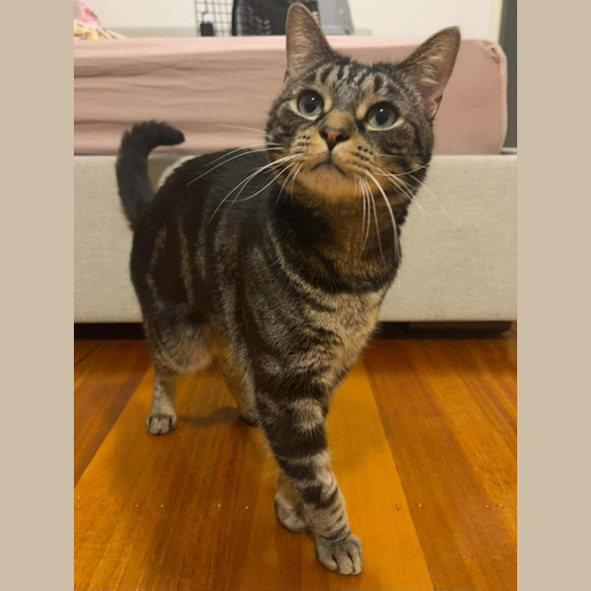 Photo of Jeff   In Foster Care In Doncaster East