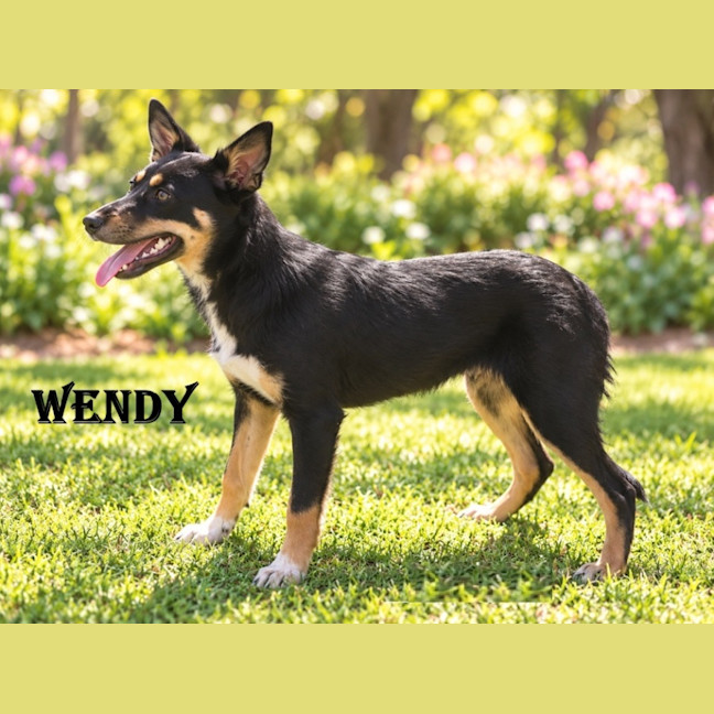Photo of Wendy