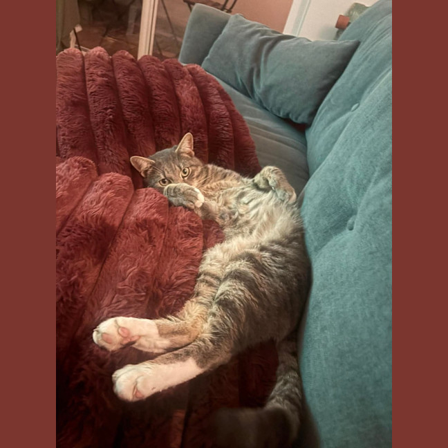 Photo of Albert 