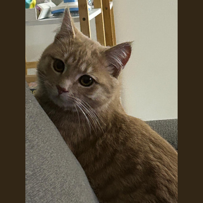 Photo of Nicko