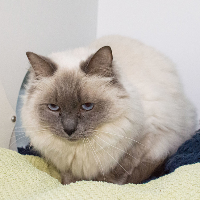 Photo of Narla