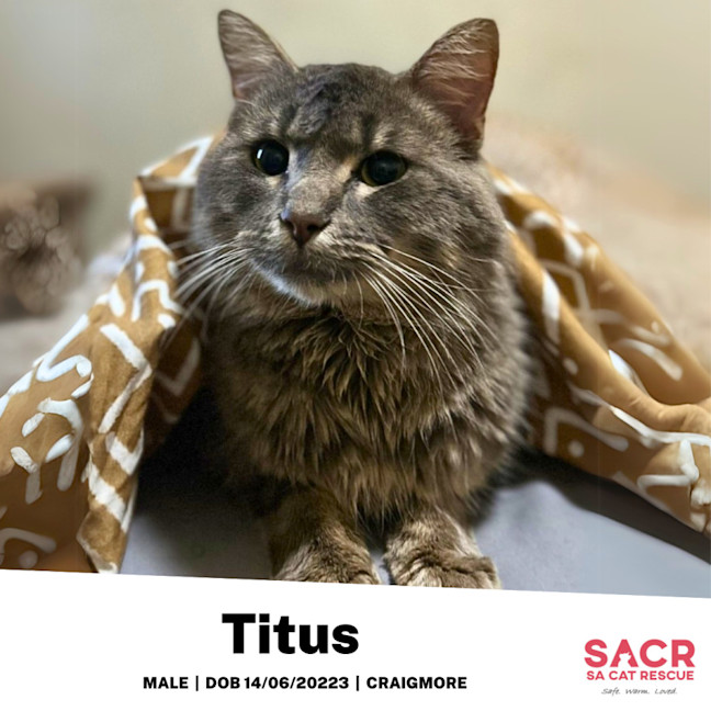 Photo of Titus