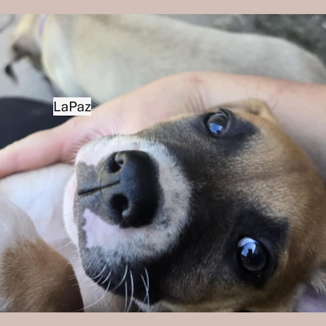 Photo of ⛰️ Coromandel's Litter (Part 2) ⛰️