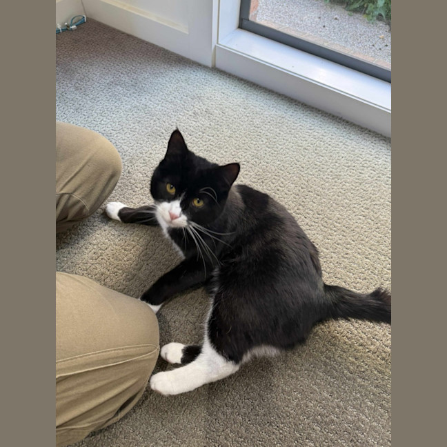 Photo of Pishi & Maloos