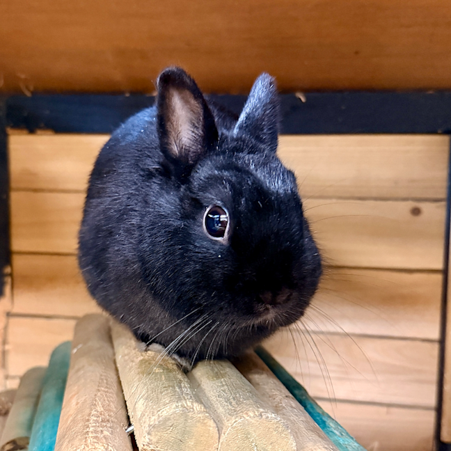 Photo of Nancy