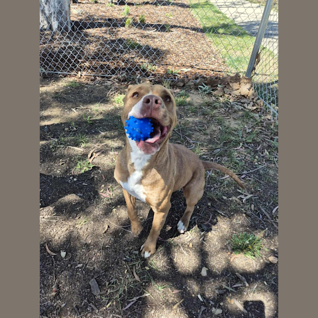 Photo of Skylar! 🌈