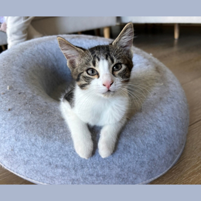 Photo of Hershey