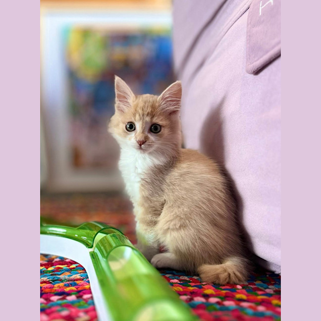 Photo of Arthur