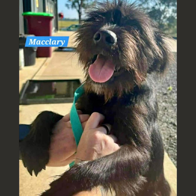 Photo of Macclary