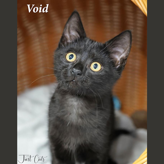 Photo of Void