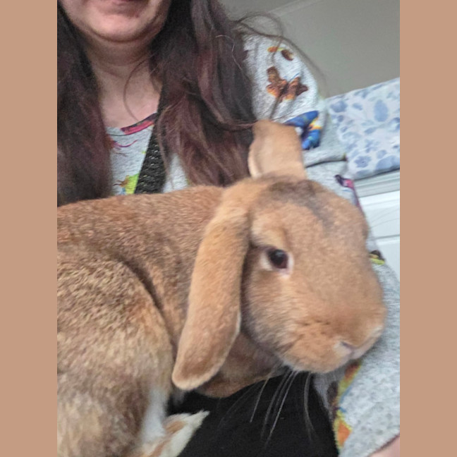 Photo of Raisin