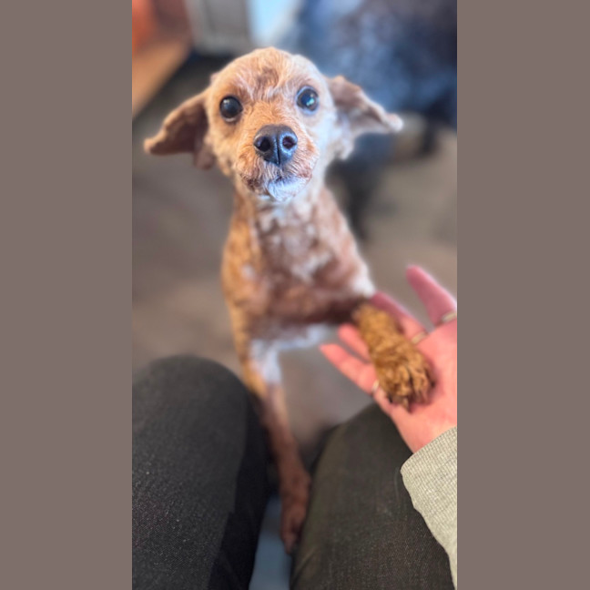 Photo of Charlie