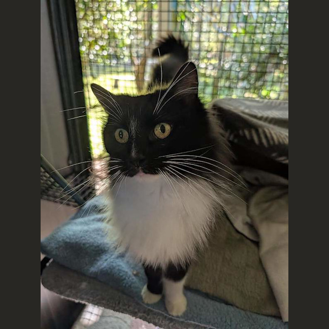 Photo of Coco