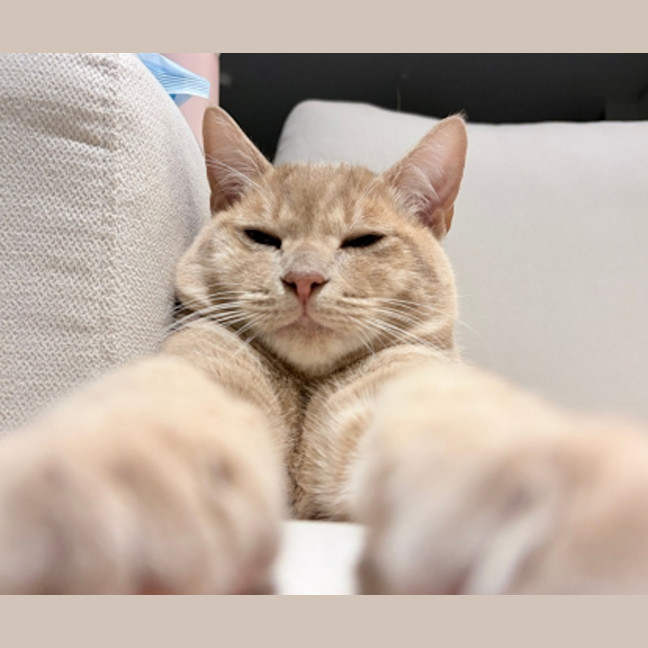 Photo of Felix