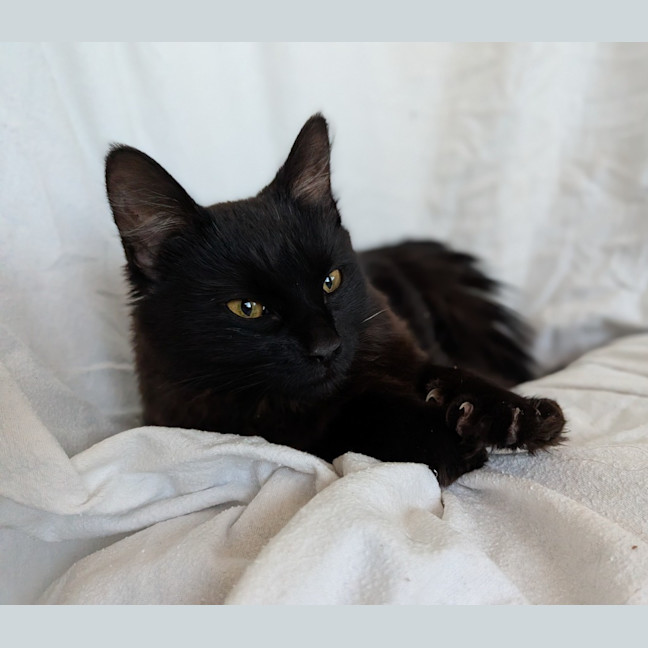 Photo of Mimi