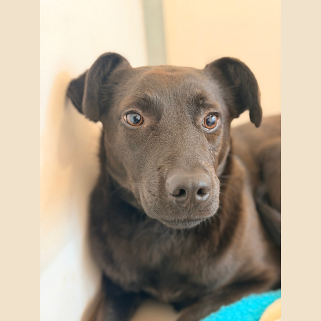 Photo of Darla