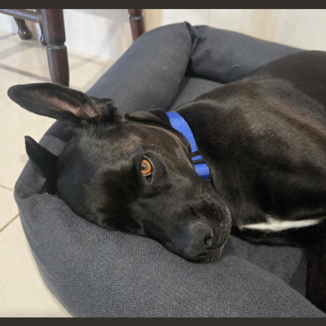 Photo of Zeus
