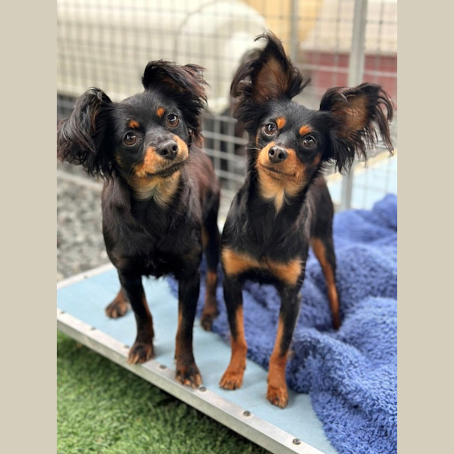Photo of Dorothy & Lorelei