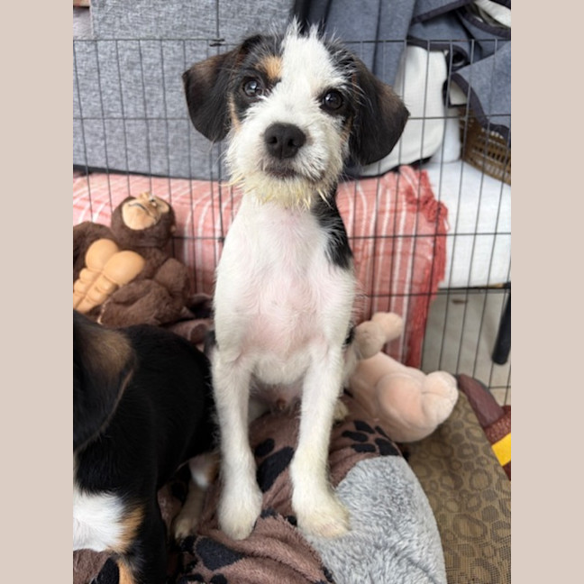 Photo of Fuzzy Navel