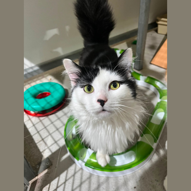 Photo of Django