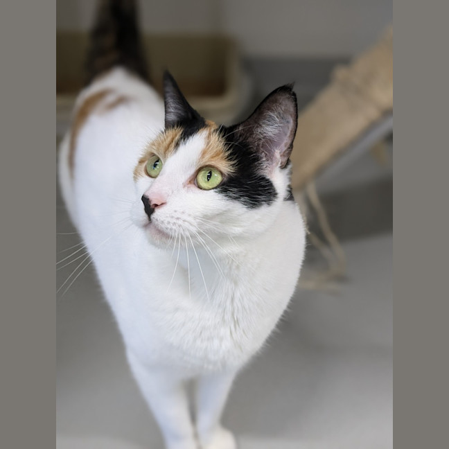 Photo of 🎡 Angelica 5623 🎡