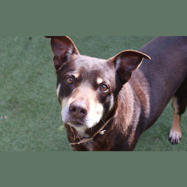 Photo of Monty