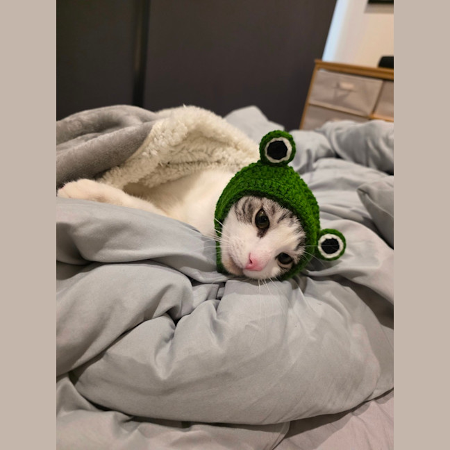 Photo of Cassian   In Foster Care In Melbourne