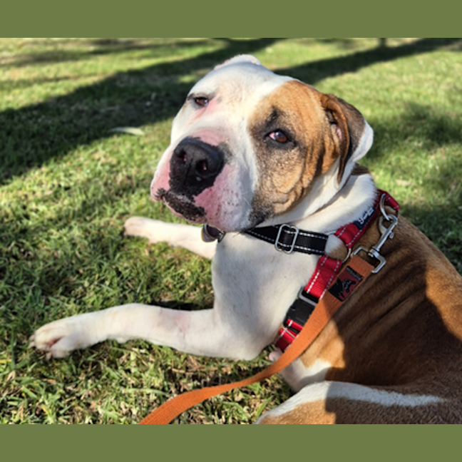 Photo of Maggie May