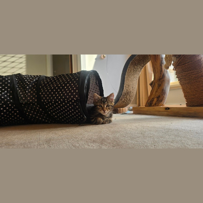 Photo of Gus