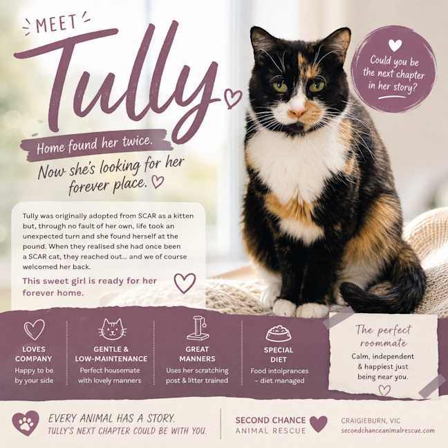 Photo of Tully