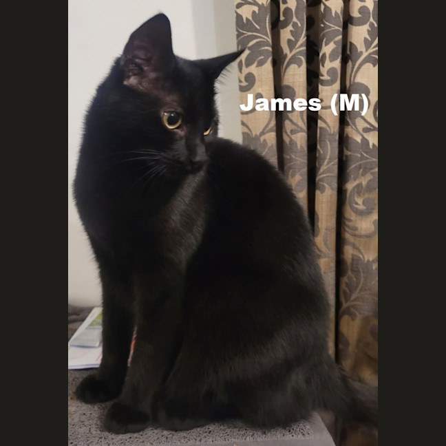 Photo of James