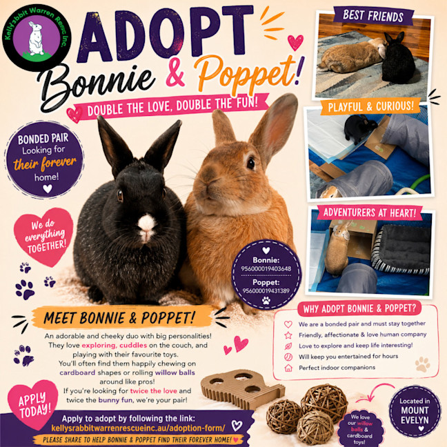 Photo of Bonnie & Poppet