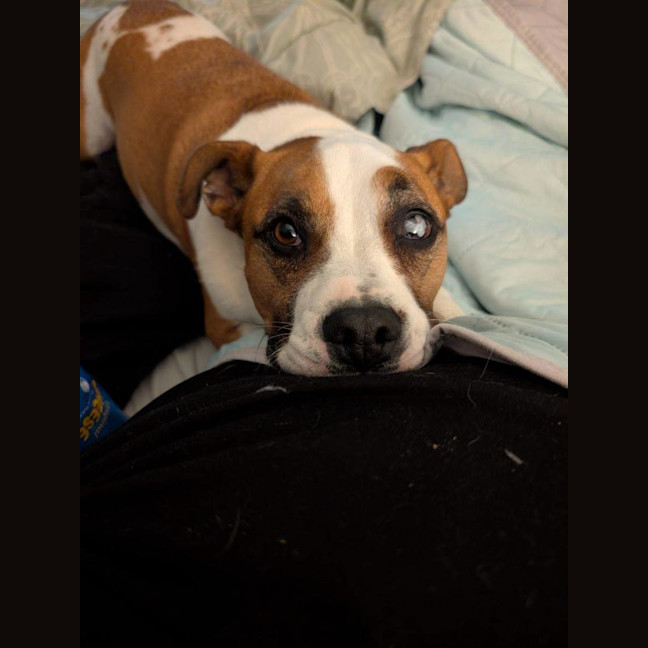 Photo of Chyna