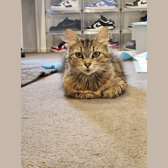 Photo of Daisy