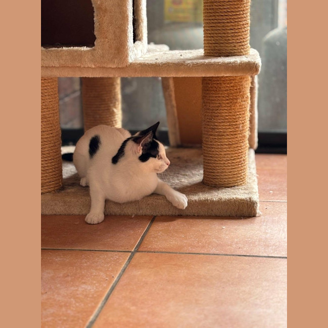 Photo of 🎀 Ribbon 🎀