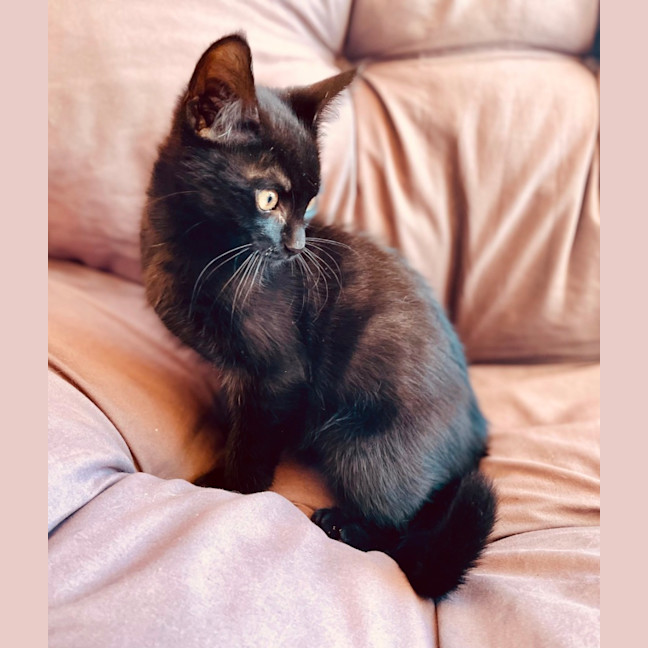 Photo of Rumor & Cider