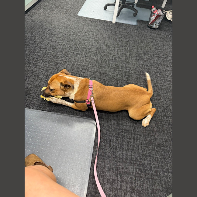 Photo of Sasha