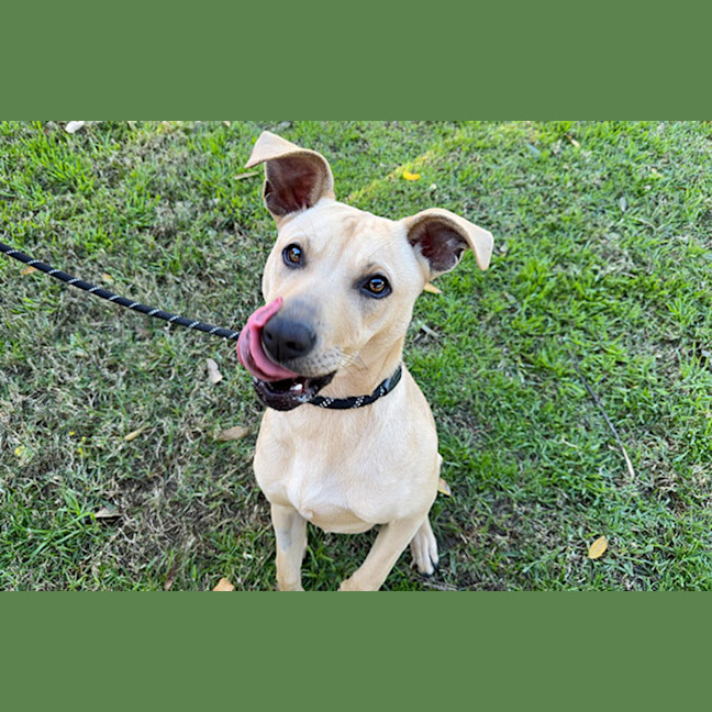 Photo of Slinky