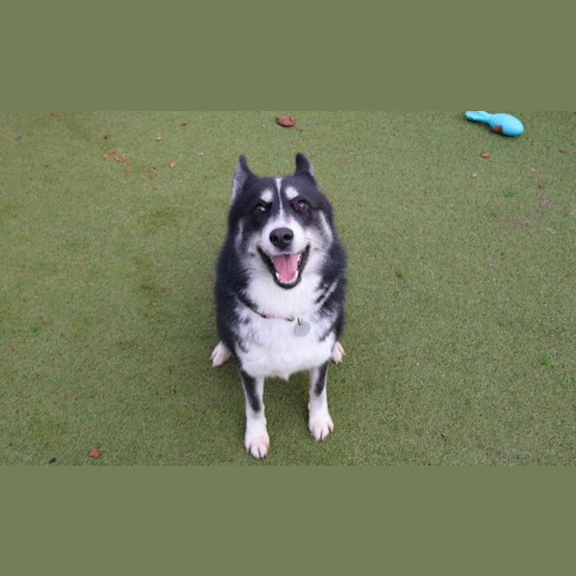 Photo of Dutchess