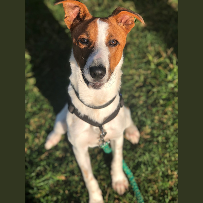 Photo of Little Wally