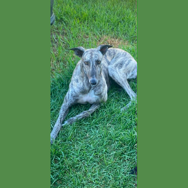 Photo of Kelcee