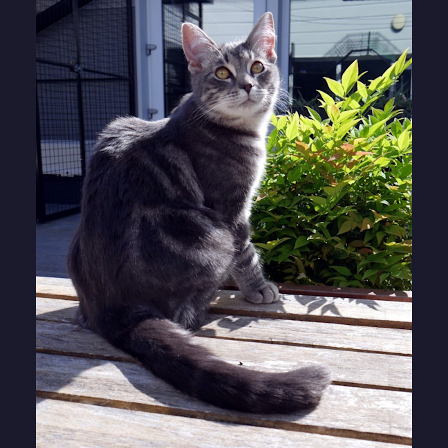 Photo of Jeremy Stk012743