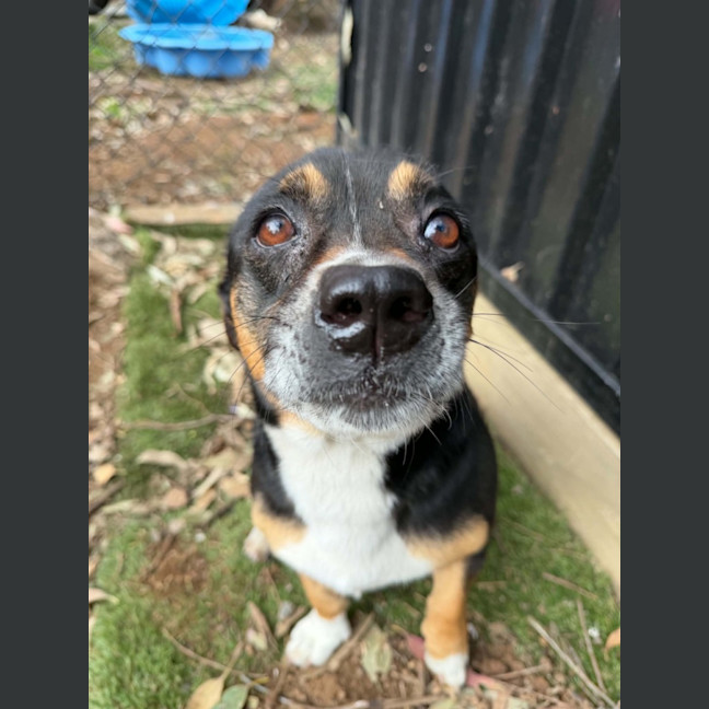 Photo of Finn