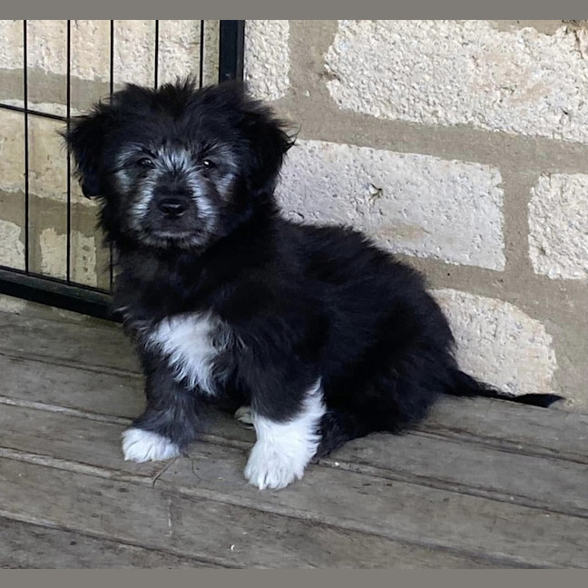 Photo of Billy The Kid