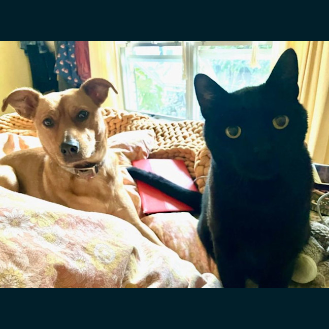 Photo of Salem