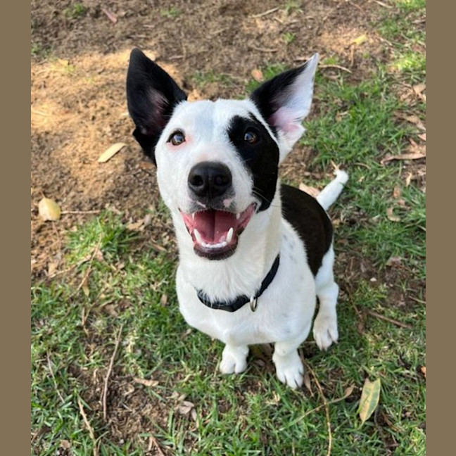 Photo of Bull And Frederick