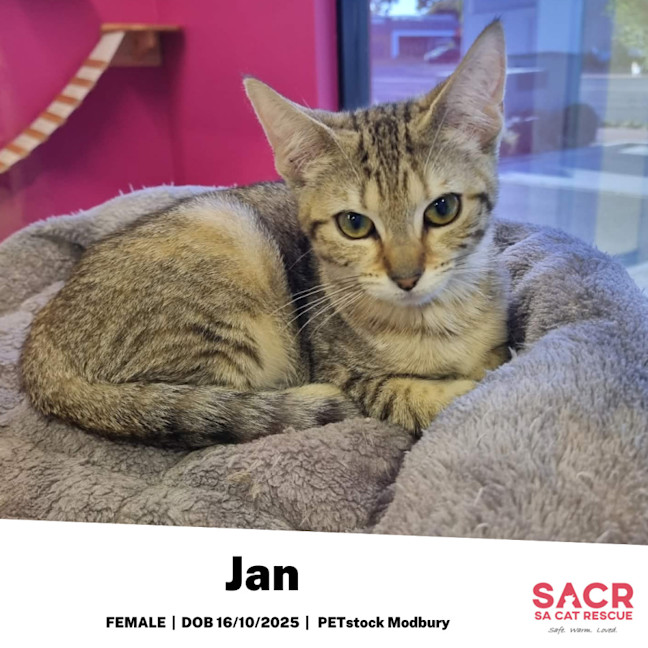 Photo of Jan