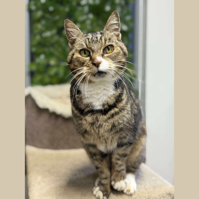 Photo of 🌱 Mochi 6381 🌱